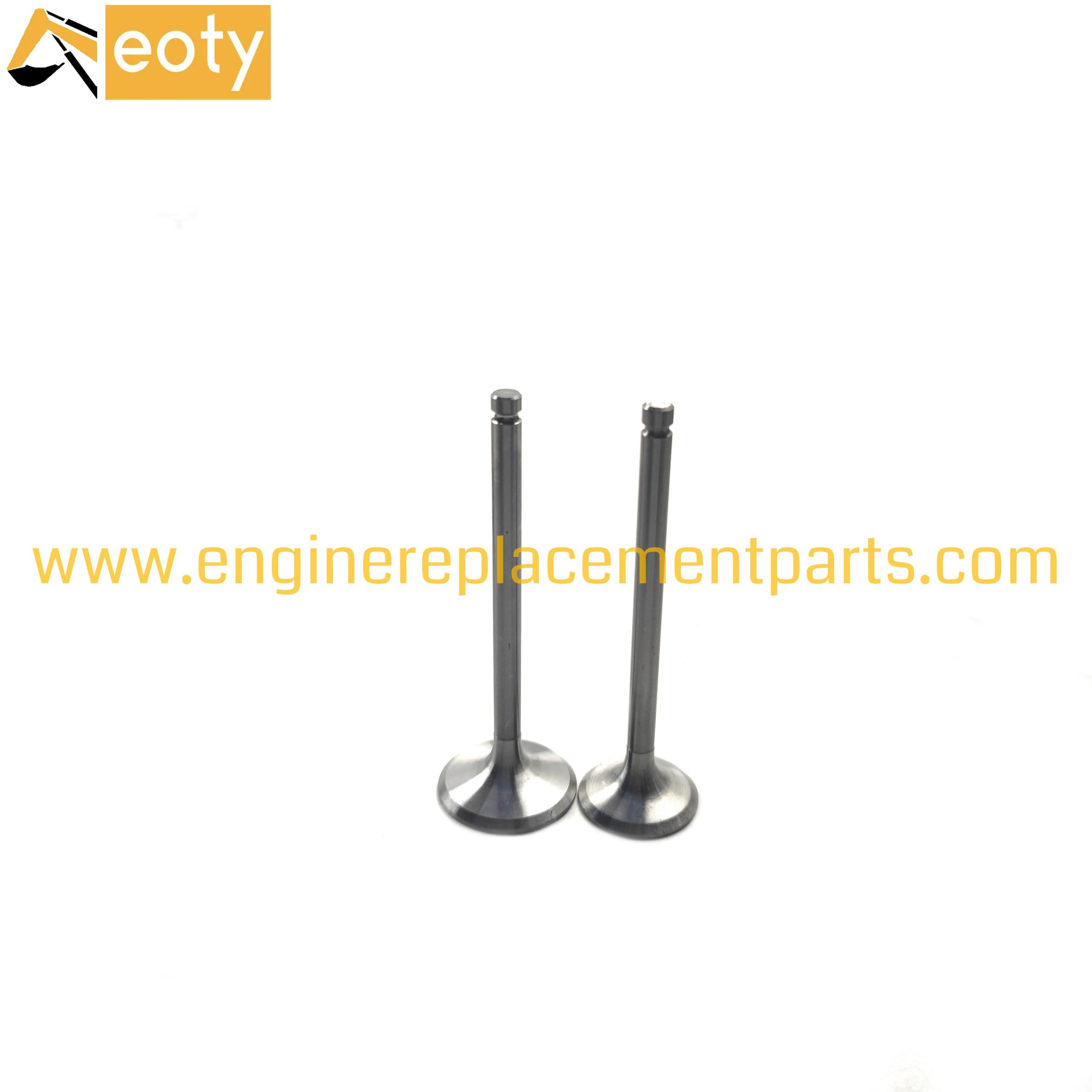 495bt Engine Valve Suitable For China Engine Engine Parts