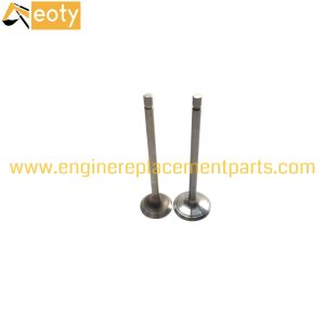 OEM 4D56U Engine Valve | High-Performance Diesel Engine Part for Mitsubishi