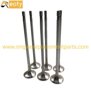 Volvo D13 D13F Intake & Exhaust Valve Set (20740798, 20768519) – Engine Repair Parts