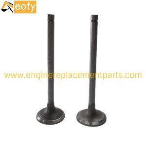 Hino F20C Diesel Engine Valve 13711-1411 13715-1241 | OEM Quality