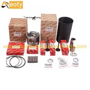 Genuine Hino J05E J08E Cylinder Liner Piston Kit S1301-92080 S1146-73210