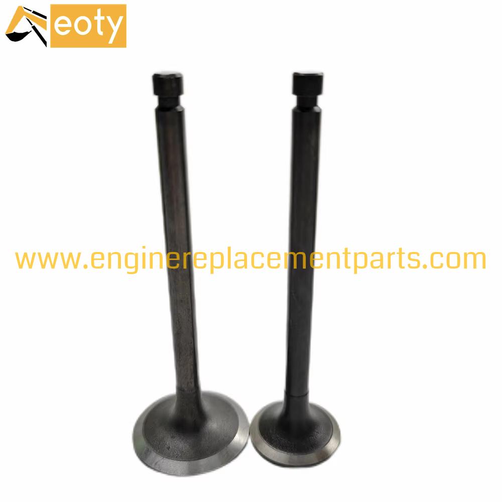 S4q2 Engine Valve In 32c04-00100 Ex 32c04-01100 Suitable For Mitsubishi Engine Parts