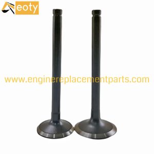 Hino W06D W06E Engine Valve 13711-1521 13715-1251 | Diesel Engine Parts