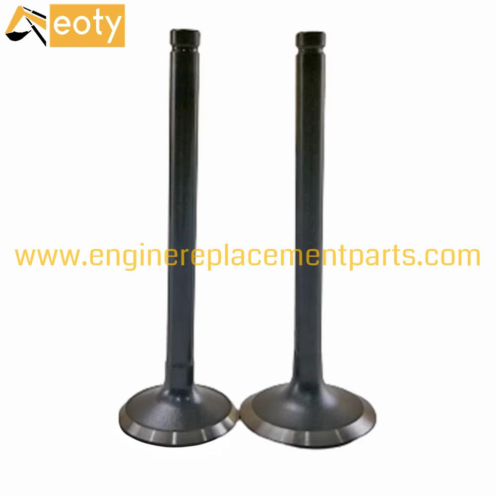 Hino W06D W06E Engine Valve 13711-1521 13715-1251 | Diesel Engine Parts
